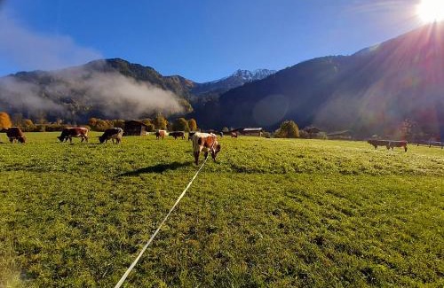 Bad Hofgastein Apartamento | Hoislbauerngut