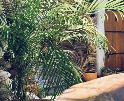 Cholula Apartamento | Hoja Santa Posada