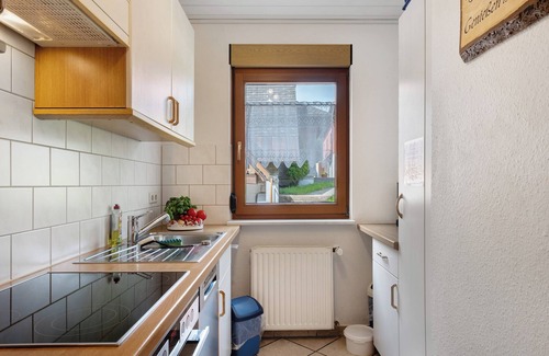Schollach Apartamento | Apartamento "Oeste" con terraza, jardín y balcón compartidos