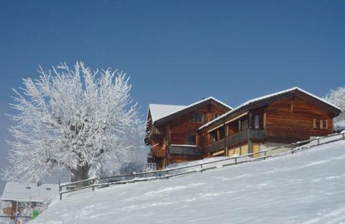 Goldiwil Casa | Holiday Apartment Chalet Mooshang