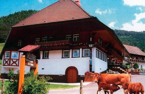 Elzach Apartamento | Holiday Apartment 'Faller' with Private Terrace, Balcony and Wi-Fi