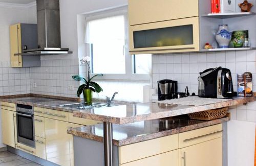 Zell am Harmersbach Apartamento | Holiday apartment in the rose garden