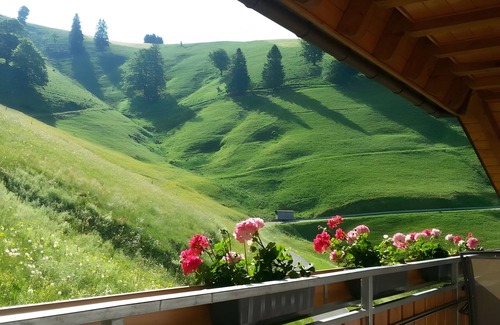 Munstertal Apartamento | Holiday Apartment 'Wiesenpanorama'