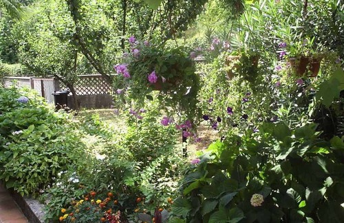 Opric Apartamento | Holiday apartment with air conditioning