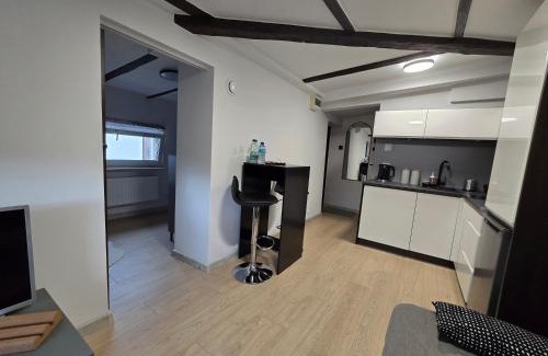 Gdynia Apartamento | Holiday Flat - Attic Apartment Gdynia Oksywie