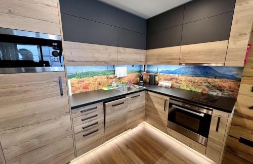 Ricky v Orlickych horach Casa | Holiday Home Říčky F39 by Interhome