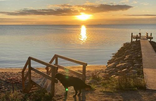 Pøt Strandby Casa | Holiday Home Alpa - 600m from the sea by Interhome