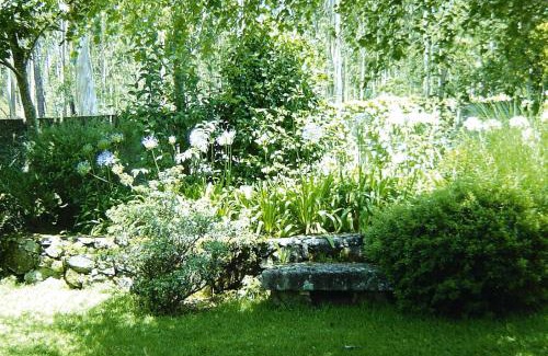 Carreco Casa | Holiday Home bei Viana do Castelo Carreco - PON03016-F