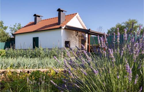 Caporice Casa | Holiday Home Caporice With A Fireplace 289