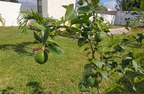 Merida Municipality Casa | Holiday home Casa Antonio Merida