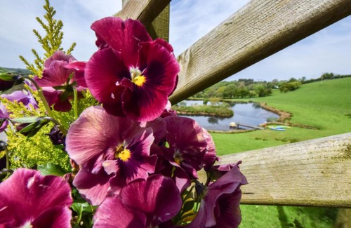 Lampeter Casa | Holiday Home Cwm Derw