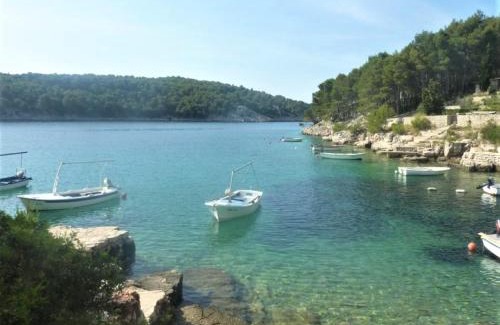 Cove Osibova (Milna) Casa | Holiday home Dean - 80m to the sea