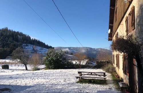 Basse-sur-le-Rupt Casa | Holiday Home 'La Louve' with Mountain View, Private Terrace and Wi-Fi