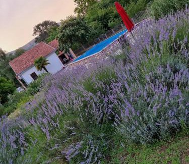 Slipcici Casa | Holiday Home Harmony