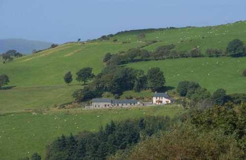 Glandyfi Casa | Holiday Home Helyg