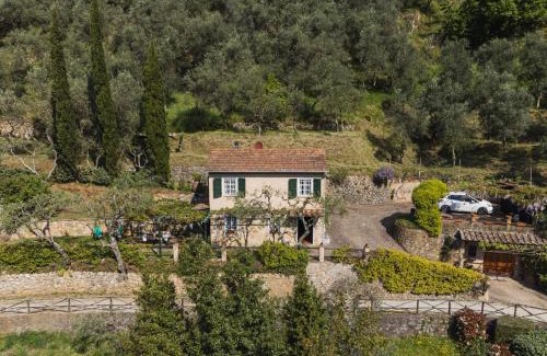 Camaiore Casa | Holiday Home Il Glicine by Interhome