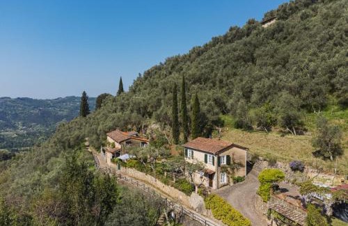 Camaiore Casa | Holiday Home Il Glicine by Interhome