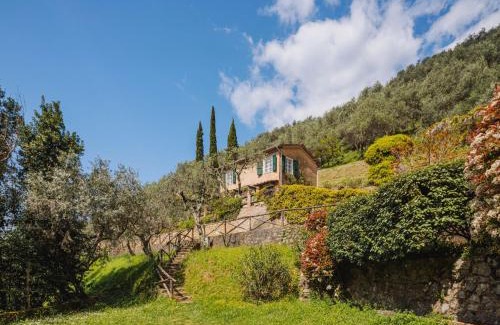 Camaiore Casa | Holiday Home Il Glicine by Interhome