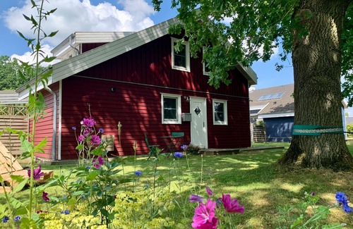 Dummer Casa | Holiday home in Dümmer near lake