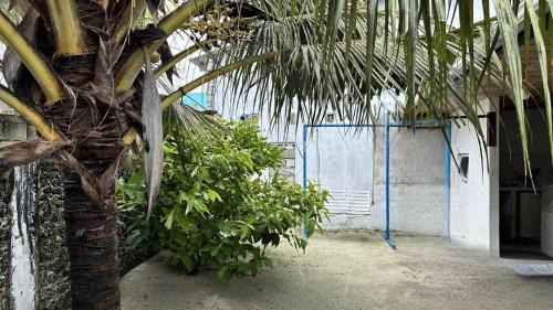 Himmafushi Casa | Holiday home in Himmafushi Island, Maldives
