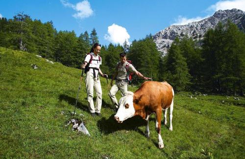 Sankt Koloman Casa | Holiday Home in St Koloman near Salzburg