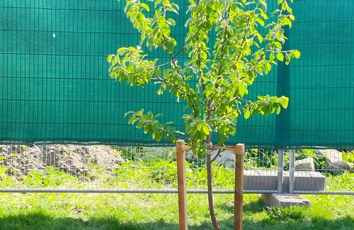 Bad Belzig Casa | Casa de vacaciones "Klitzeklein" con jardín privado