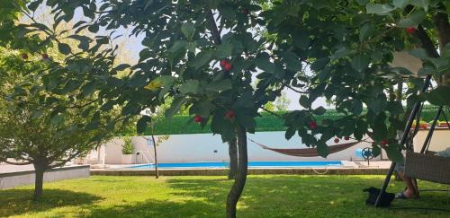 Mali Radic Villa | Holiday Home Libera
