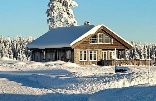 Amot Casa | Holiday home Osen II