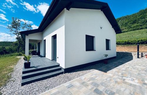 Mali Radic Villa | Holiday Home Silenzio