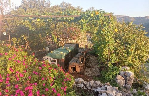 Karuc Casa | Holiday Home Sofia