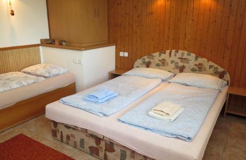 Dolni Bojanovice Casa | Holiday Home Vinarska by Interhome