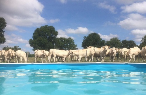 Saint-Hilaire Casa | Casa de vacaciones Buxières les Mines para 2 - 6 personas con 2 dormitorios - Casa de vacaciones