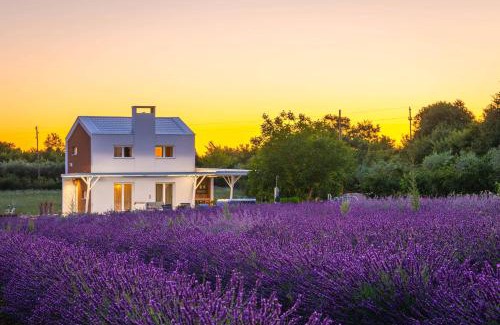 Jursici Casa | Holiday house Brajdine Lounge