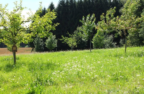 Rodenbach bei Puderbach Casa | Casa de vacaciones en una fantástica ubicación apartada en Westerwald