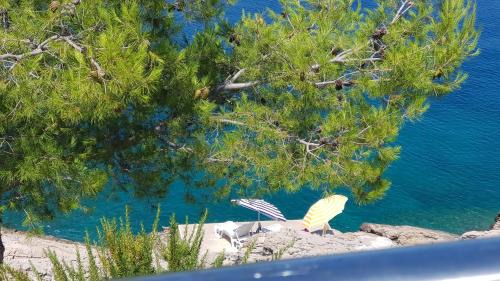 Gdinj Casa | Holiday house Jakov