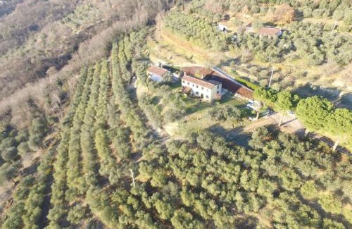 Arqua Petrarca Casa | Holiday House Petrarca