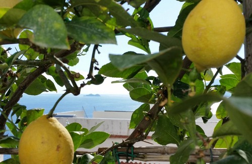 Baronissi Villa | Casa de vacaciones Villa Morana Relájese con gusto