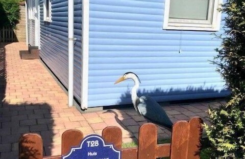 Onderdijk Casa | Casa de vacaciones Wervershoof para 1 - 4 personas con 2 dormitorios - Casa de vacaciones