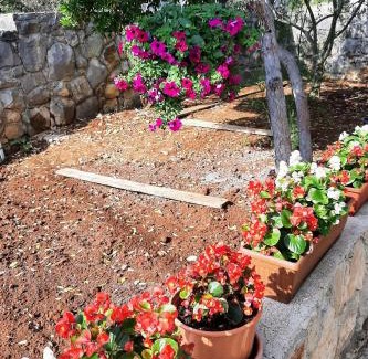 Necujam Casa | Holiday house with a parking space Cove Piskera, Solta - 21775