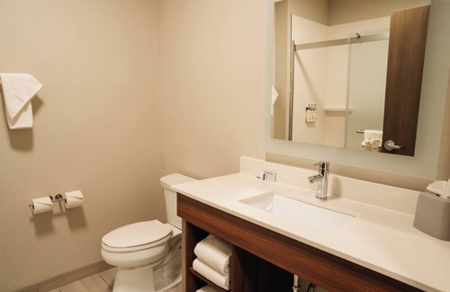 Shannon Hotel | Holiday Inn Express & Suites McCalla - Birmingham West by IHG