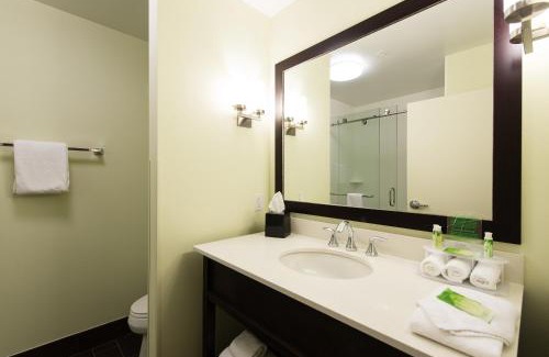 Aiken Hotel | Holiday Inn Express & Suites Aiken by IHG