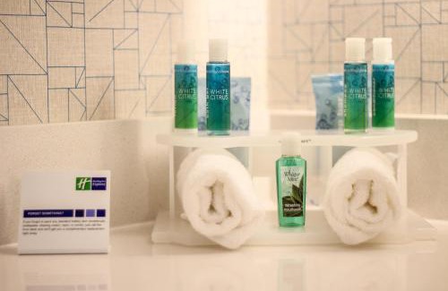 Seybold Hotel | Holiday Inn Express & Suites Miami Airport East by IHG