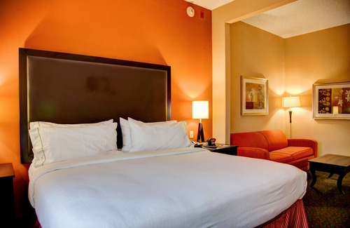 Tyler Hotel | Holiday Inn Express Suites South - Tyler by IHG