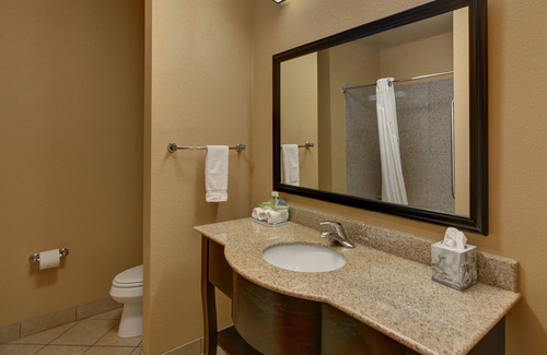 Tyler Hotel | Holiday Inn Express Suites South - Tyler by IHG