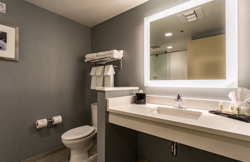 Downtown Chattanooga Hotel | Holiday Inn Hotel & Suites Chattanooga Downtown by IHG