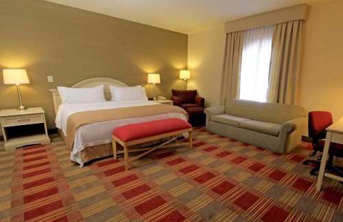 Monclova Hotel | Holiday Inn Monclova by IHG