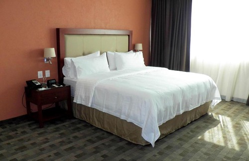 León Hotel | Holiday Inn & Suites Plaza Mayor by IHG