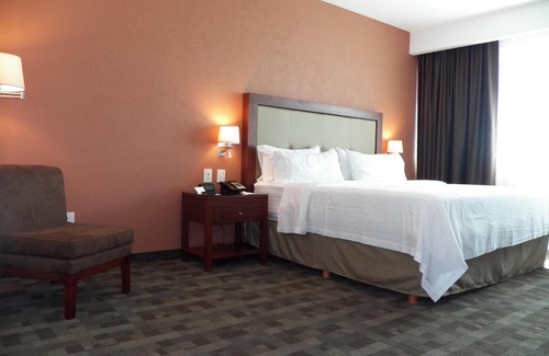 León Hotel | Holiday Inn & Suites Plaza Mayor by IHG