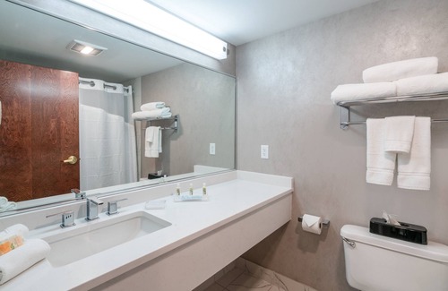 Wilmington Hotel | Holiday Inn Wilmington by IHG