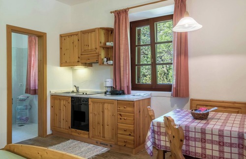 Collalbo Apartamento | Estudio vacacional 'Sallrain Hof Monolokal 4' con jardín comunitario